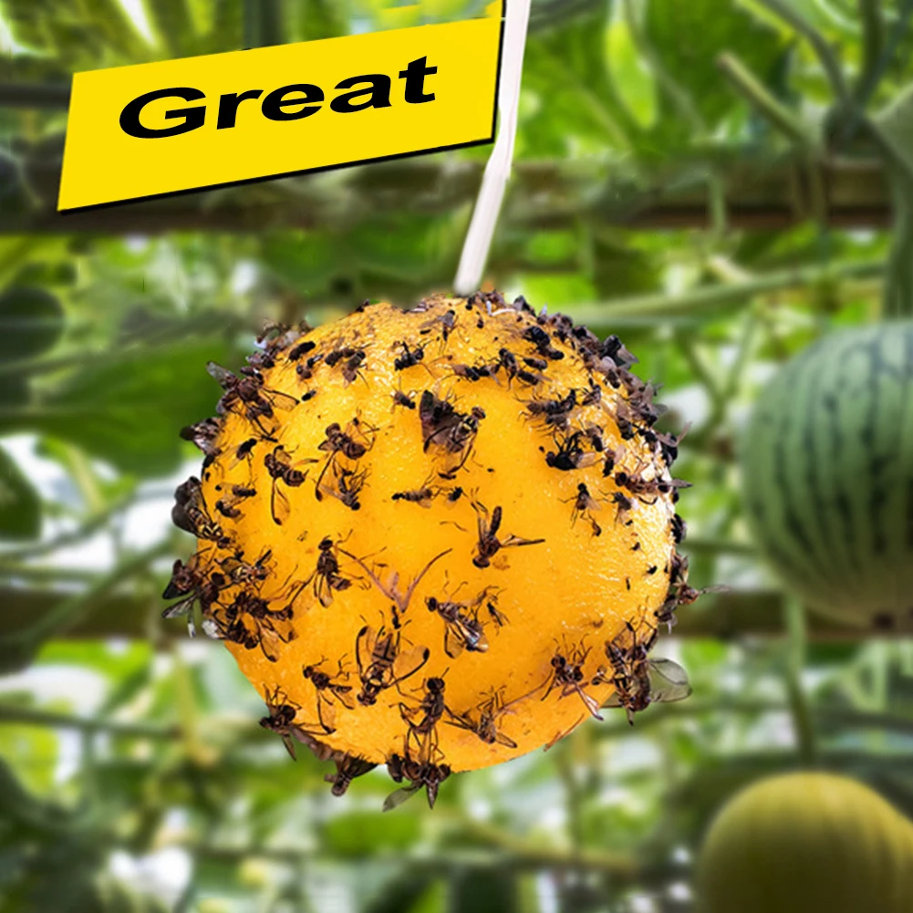 Hanging Fly Trap Pest Control Ball Fruit Fly Catcher Wasp Bee Insect Trap Gnat Traps for Indoor Outdoor House Kitchen Plants