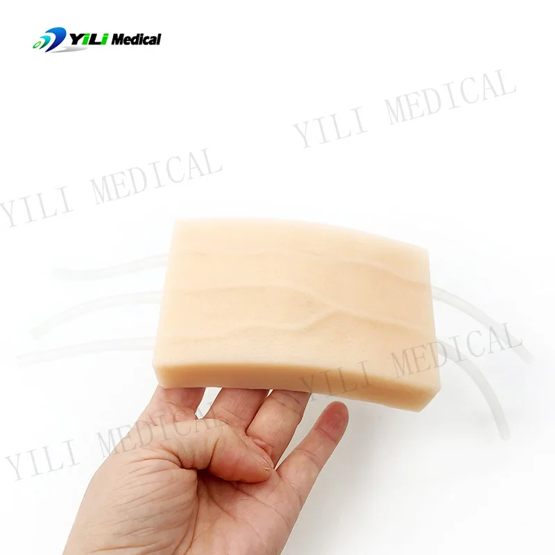 

5. Модуль упражнений для внутривенных инъекций сосудистой Y-типа. Модуль упражнений для кожи, модель тренировки для сбора крови, экспорт внешней торговли.