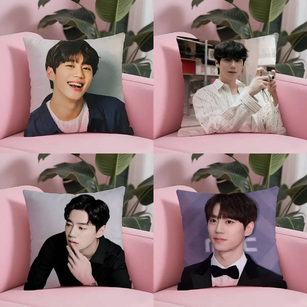 Funda de almohada Kpop Hot Singer Lee J-Jun Young, funda de almohada antipolvo, funda de cojín de sofá de felpa corta sedosa con cremallera Invisible