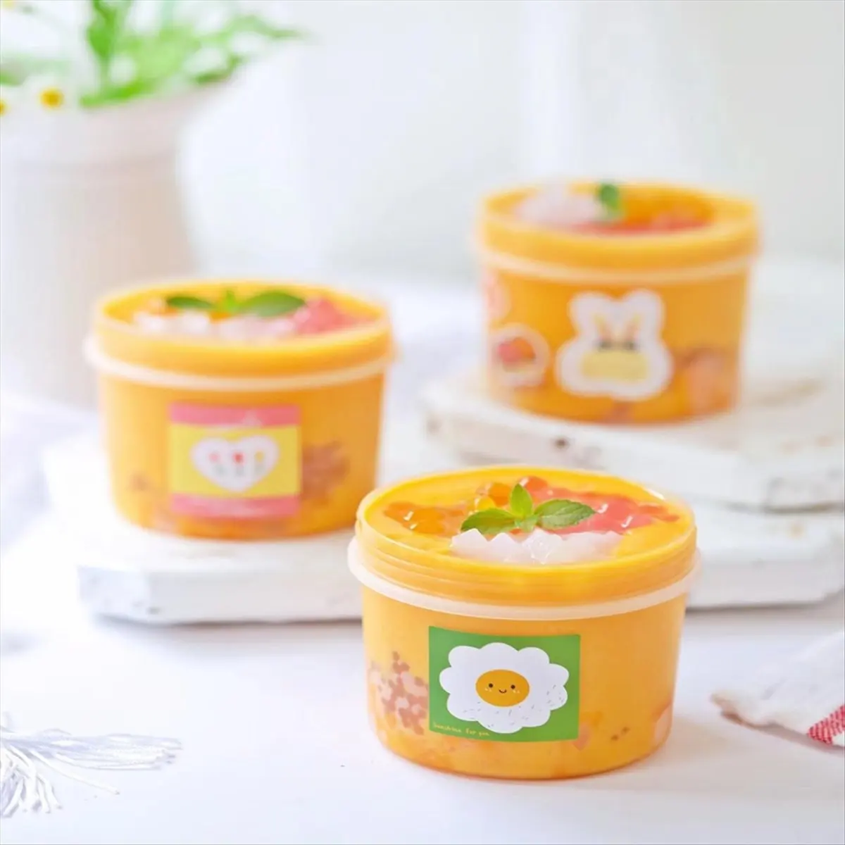 N14R Top 10 Pack 13oz Small Freezer Containers with Lids, Reusable Plastic Food Storage Containers for Jam, Fruit, Sauce(400ml)
