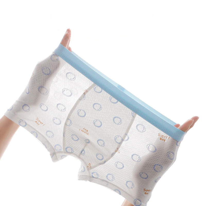 Summer Boys Thin Mesh Breathable Panties 4PCS Kids Modal Antibacterial Knickers Baby Cute Soft Briefs 3+y Young Child Underwears