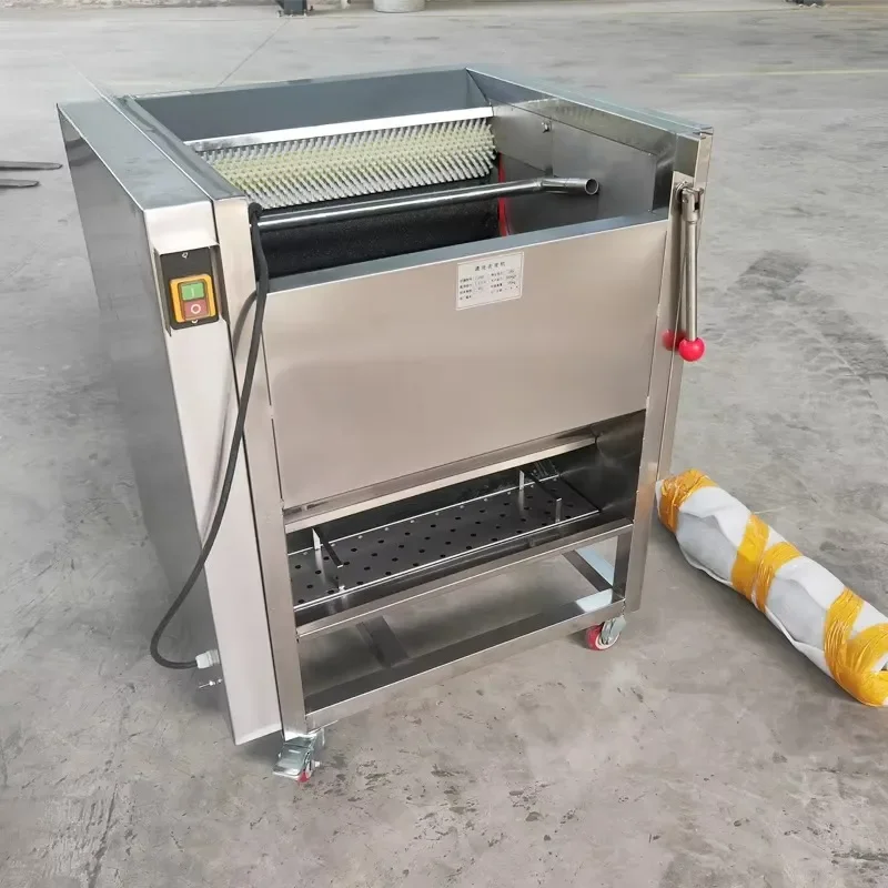 Small Ginger Potato Drum Washing Machine Fresh Fruit Vegetable Carrot Brush Washing Cleaning Machine