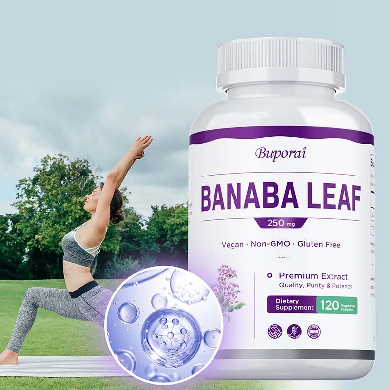 

Banaba Leaf - Promotes Healthy Blood Levels, Metabolism, Naturally Boosts Vitality, Maintains Overall Health, Improves Immunity