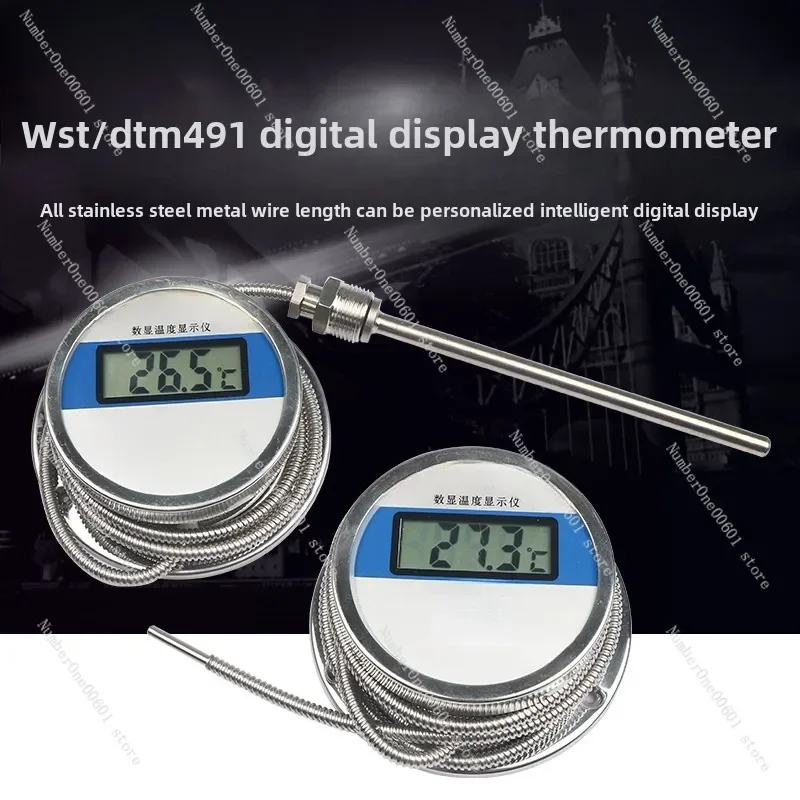 Digital Thermometer WST/DTM491 High Precision Acid-Base Thermometer Industrial Waterproof