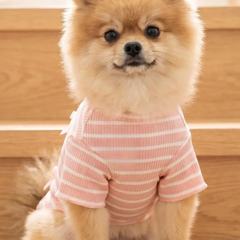 1 Stück Niedliches Hundeshirt mit Schleifendekoration, Gestreift, Weich, Dehnbar, Gerippt, Katzen-T-Shirt, Frühling Sommer Atmungsaktive Haustierkleidung – Detail 8
