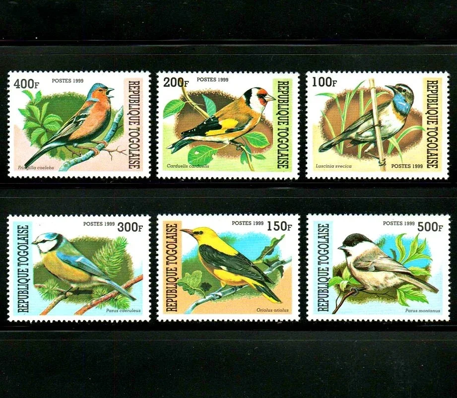 6Pcs/Set New Togo P…