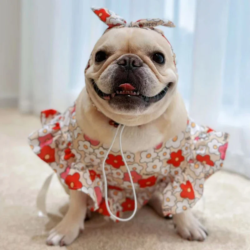 

Dog Bib Skirt Summer Dog Clothes Puppy Yorkie Pomeranian Shih Tzu Maltese Poodle Bichon Schnauzer Pug French Bulldog Clothing