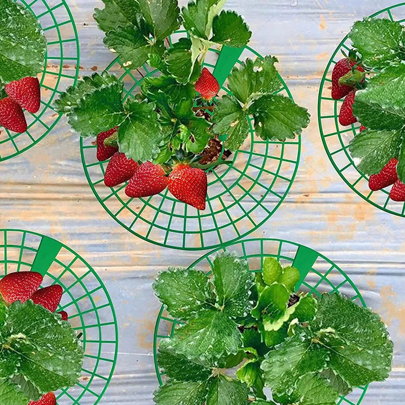 Strawberry Plant Stand with 4 Rugged Legs; Keep Berries Spotless, 1/5pcs Set Garden Tool