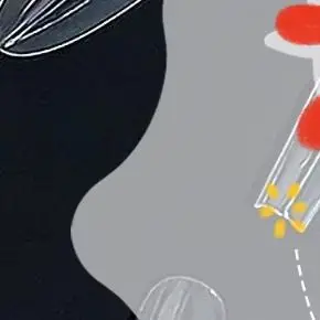 แบบฟอร์มทำเล็บสองด้าน 240 ชิ้น 15 ขนาด สำหรับต่อเล็บ แบบฟอร์มสองด้าน บน-ล่าง รูปทรงโลงศพยาว รูปทรงอัลมอนด์ อุปกรณ์ทำเล็บ