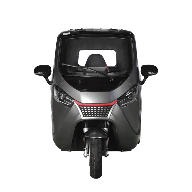 Electric Vehicle 2000w E Motor Electric Fully Enclosed Tricycle Cheap 3 Wheel 4 Wheel 60V Closed 3 Wheel Bike Taxi for Sale Eec