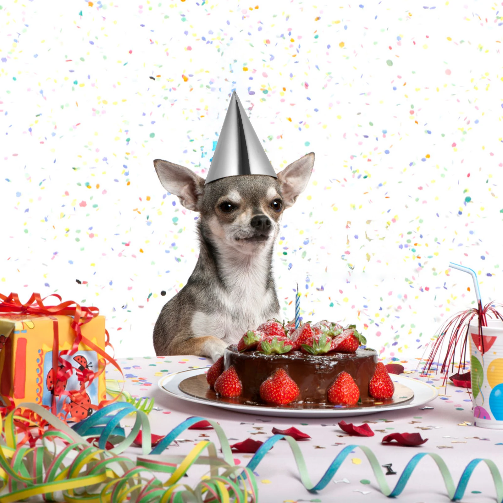 

15 Pcs Birthday Party Hat Prop Colored Decorative Supplies Hats for Funny Halloween