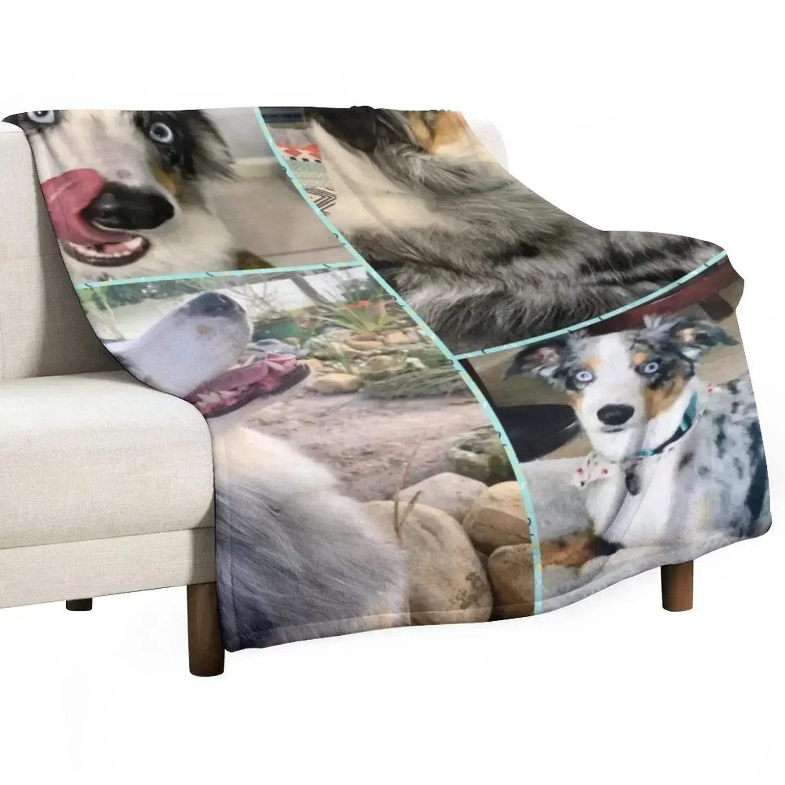 New Australian Shepard Dog Throw Blanket For Baby Beach Single Sofa Quilt Loose Camping Blankets