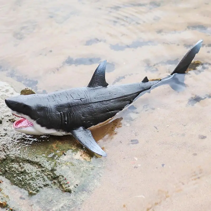 

Shark Model Animal Models Learning Activities Educational Play Toy for Imagination Home Collection for Living Room Party