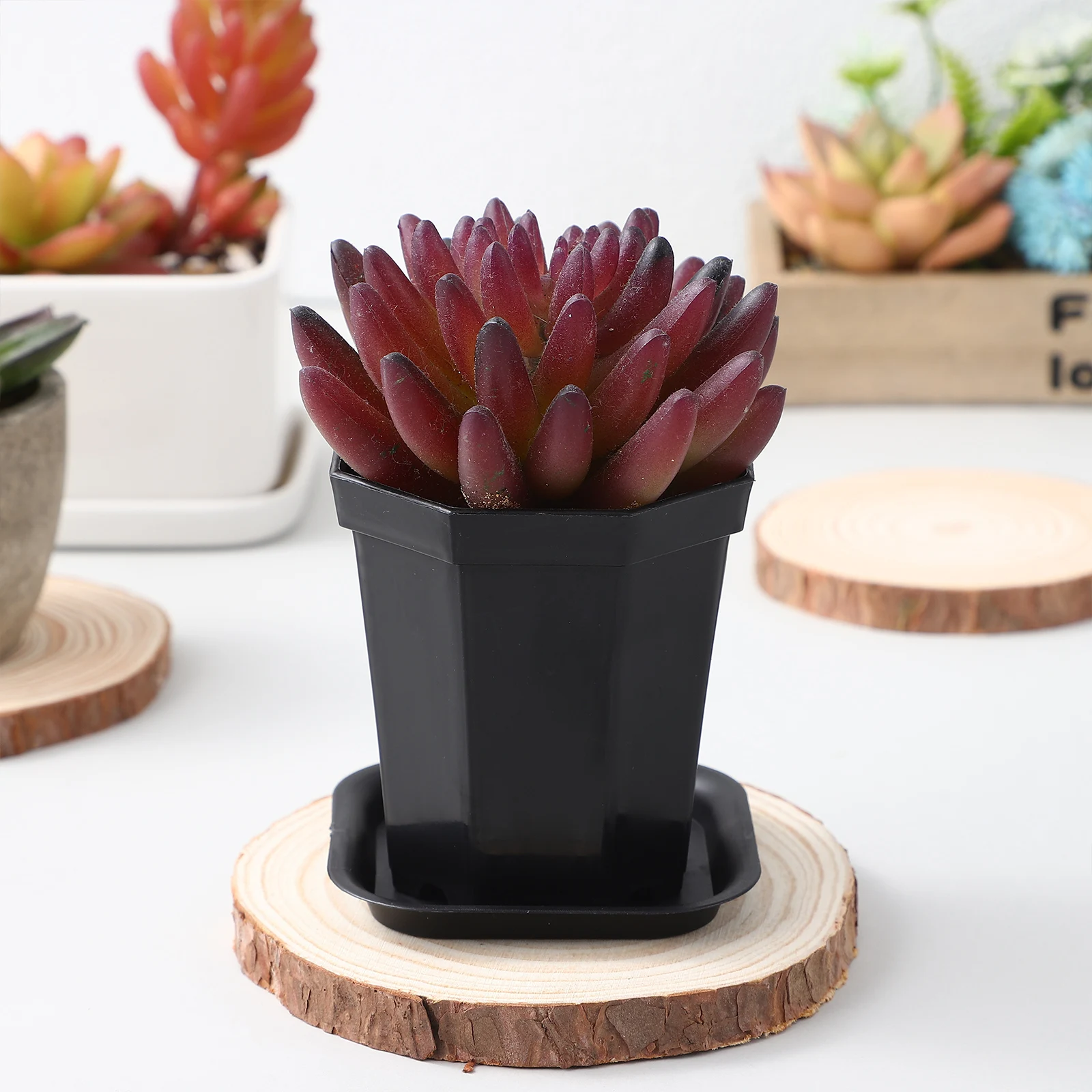 

Night Black Octagonal Flower Pots 10 Sets Plastic Raw Material Succulent Drainage Holes Reusable Garden Indoor Plants Decor