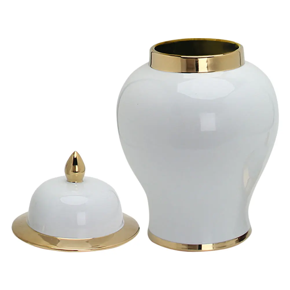 

Decorative Vases for Home Ceramic Ginger Pot Tea Storage Traditional Flower Ceramics