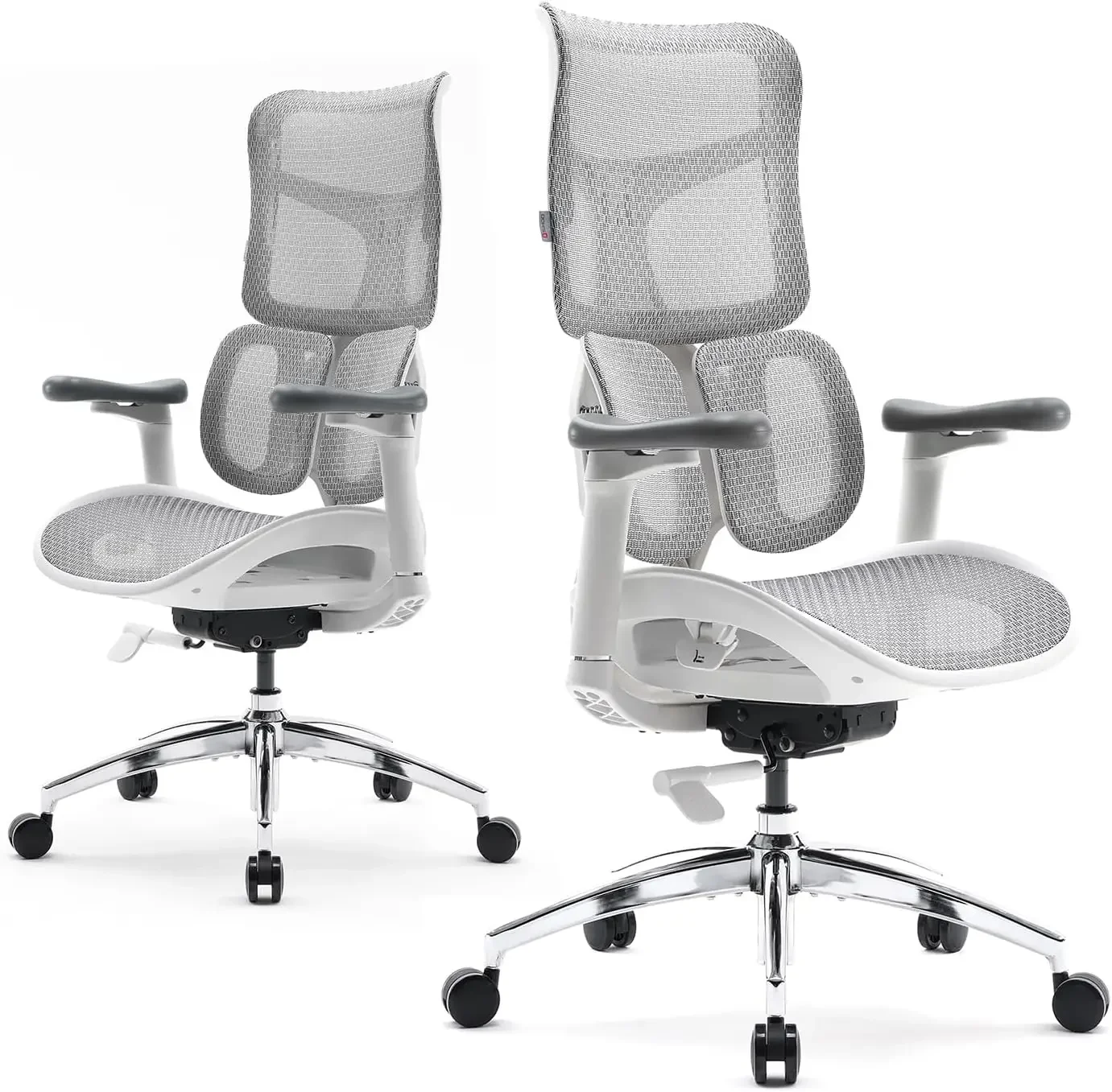 

SIHOO Doro S100 Ergonomic Office Chair - with Dual Dynamic Lumbar Support, 5-Level Adjustable Backrest,