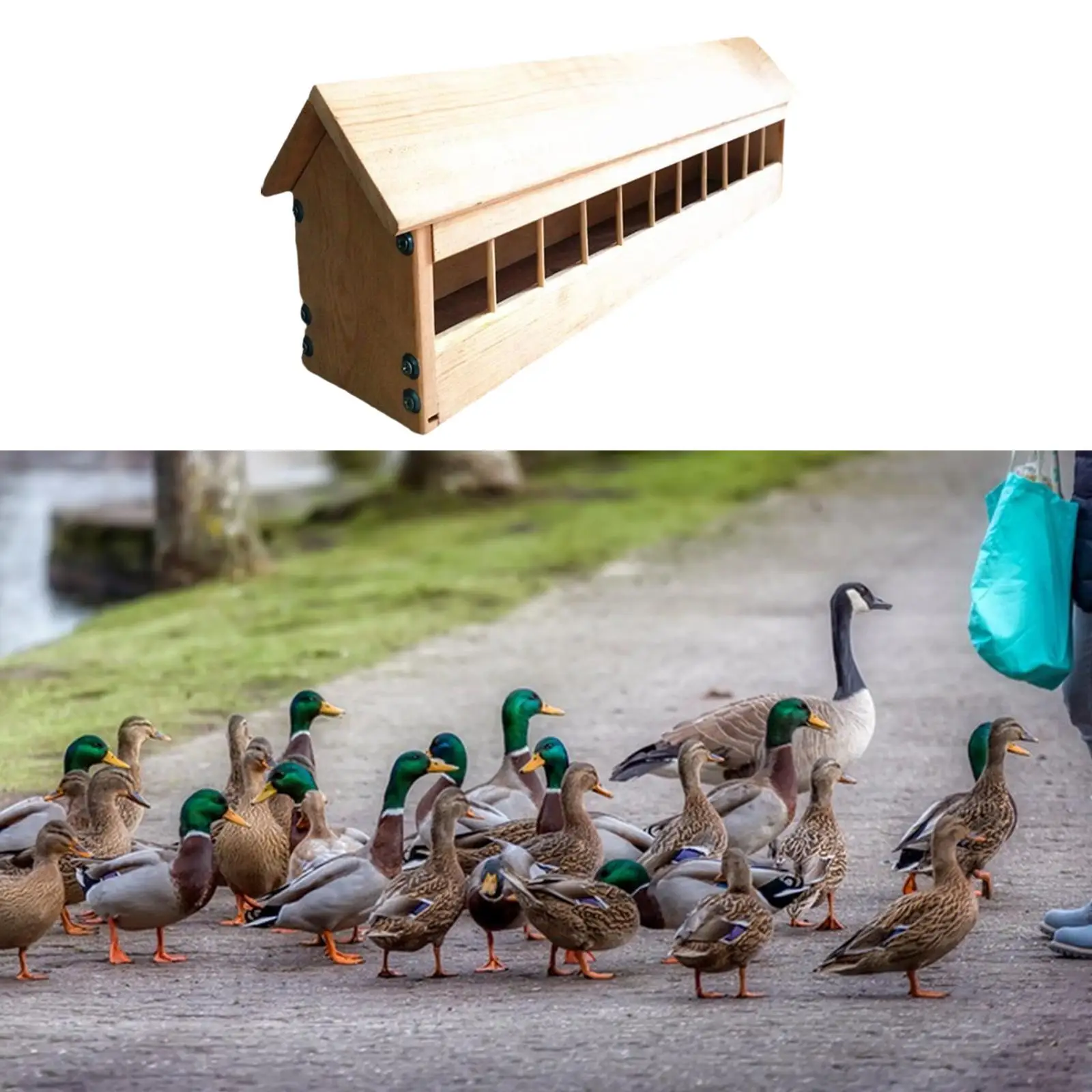 Pigeon Feeder,Bird Feeder Slot Container,Pigeon Supplies,Less Waste Bird Feeding Bowl, Food Dispenser for Quails Birds