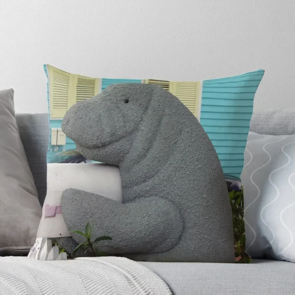 Manatee Mailbox Throw Pillow luxury sofa pillows Cushion Cover Set christmas ornaments 2025 pillow