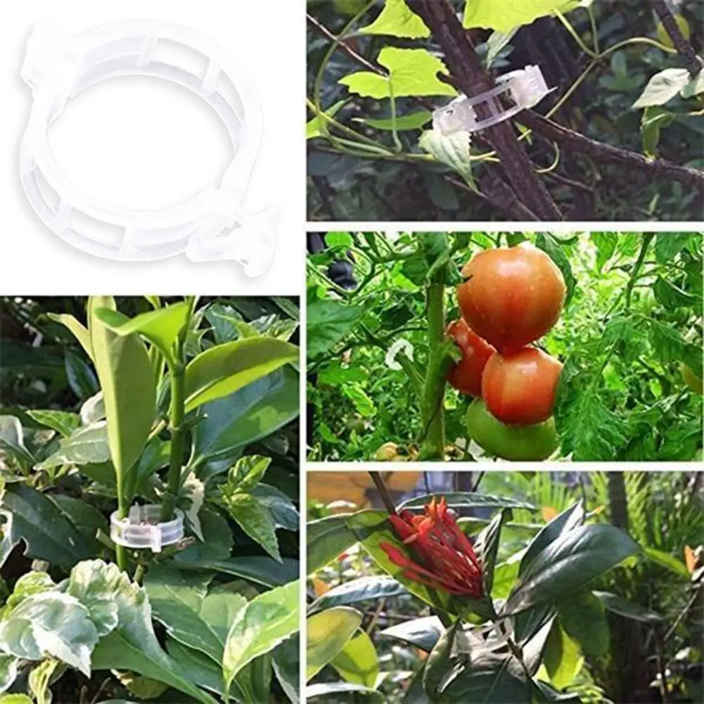 100/200Pcs Plant Support Garden Clips Easy to Use Plant Clips Wide Application Plant Tomato Vine Vegetable Fastening Clips