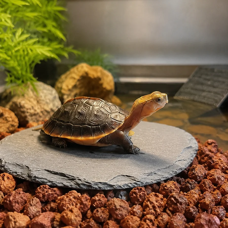 800/1600g Flache Schiefersteine, Dunkelgrauer Aquarium-Landschaftsstein für Fischbecken, Terrarium & Reptilien-Habitat-Dekoration XJM – Detail 4