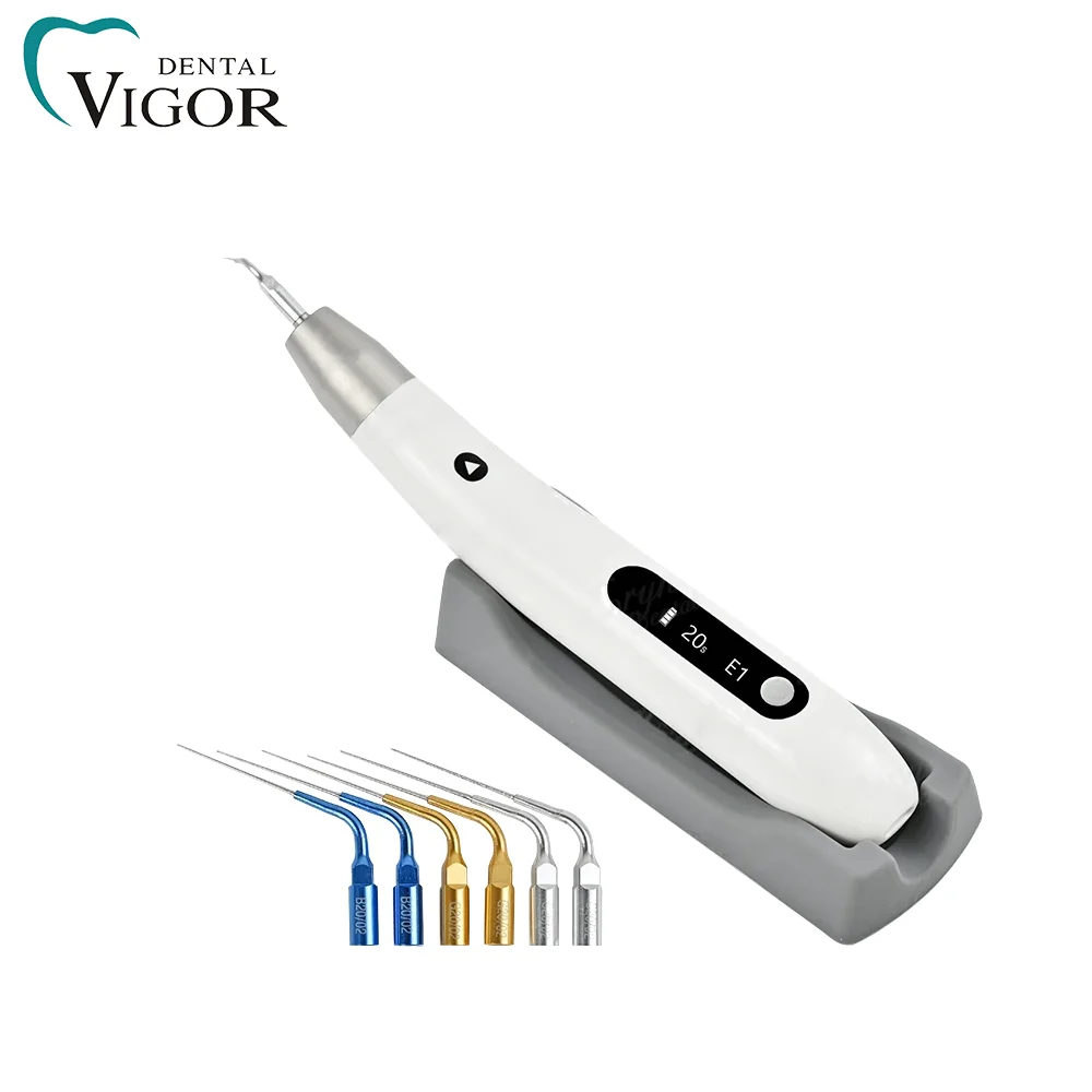 Cordless Dental Endo Activator Wireless LED Ultrasonic Root Canal Irrigator Endodontic Activator Device Multiple Tips
