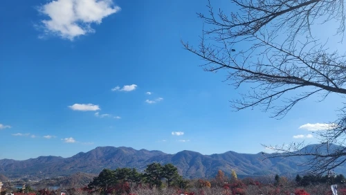 구매후기