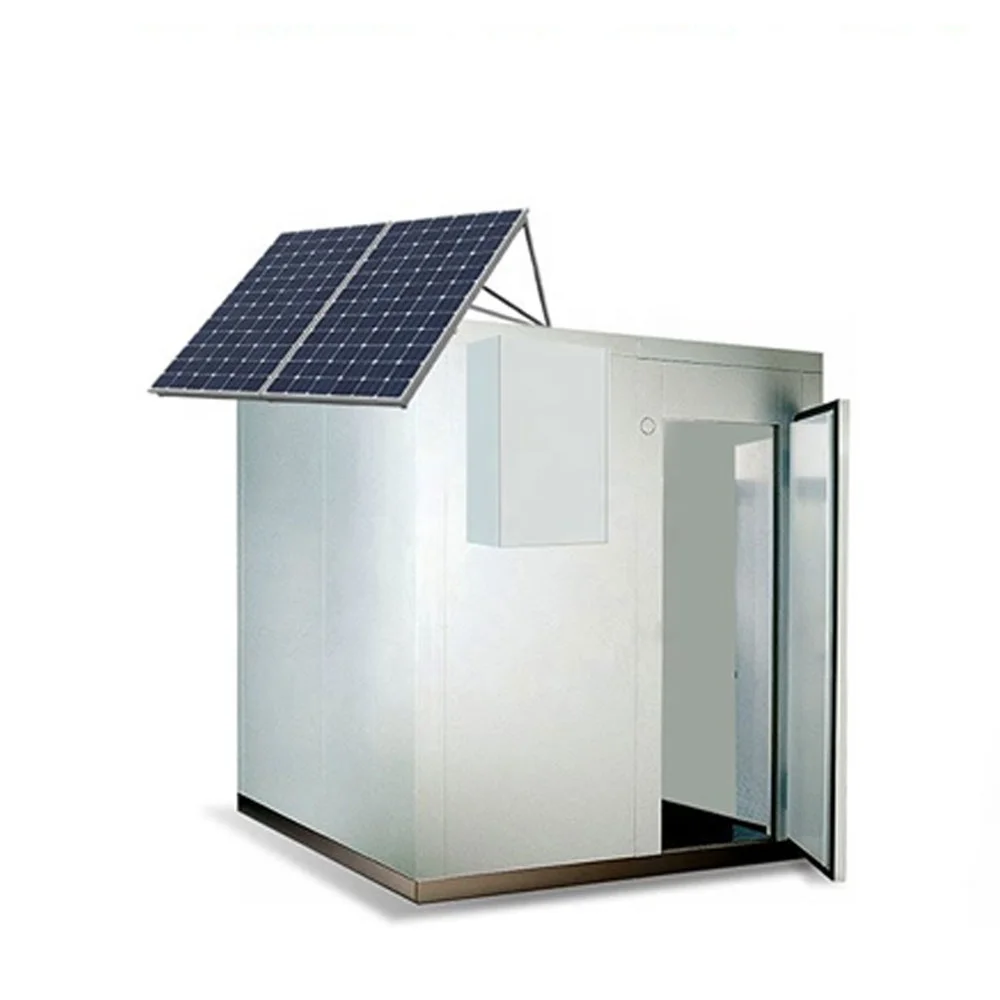 20ft 40ft solar powered cold storage container refrigeration unit price walk in freezer blast solar cold room for meat fish