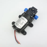 NUOTRILIN 5bar DC 12V 24V 5Lpm 60W Micro Diaphragm High Pressure Water Pump self priming