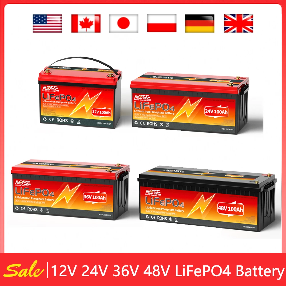 100Ah LiFePO4 Battery 12V 24V 36V 48V Lithium Iron Phosphate Batteries Pack Built-in BMS Rechargeable Deep Cycle for RV Camper