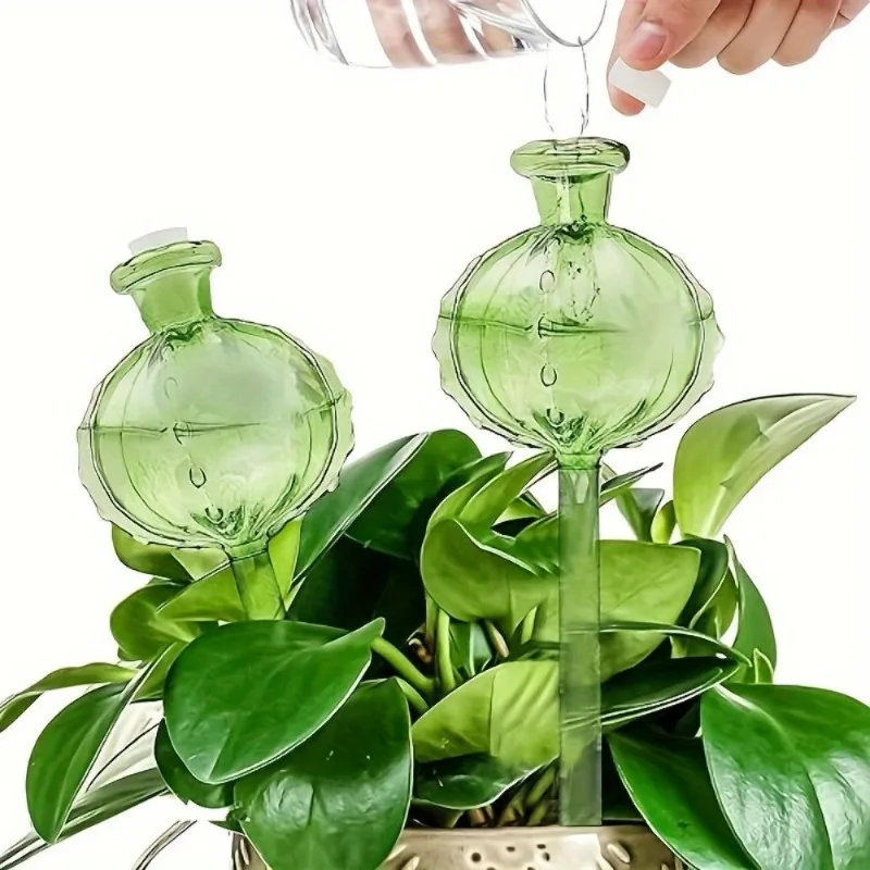 #7 Ranked Watering Globes Picks in 2026