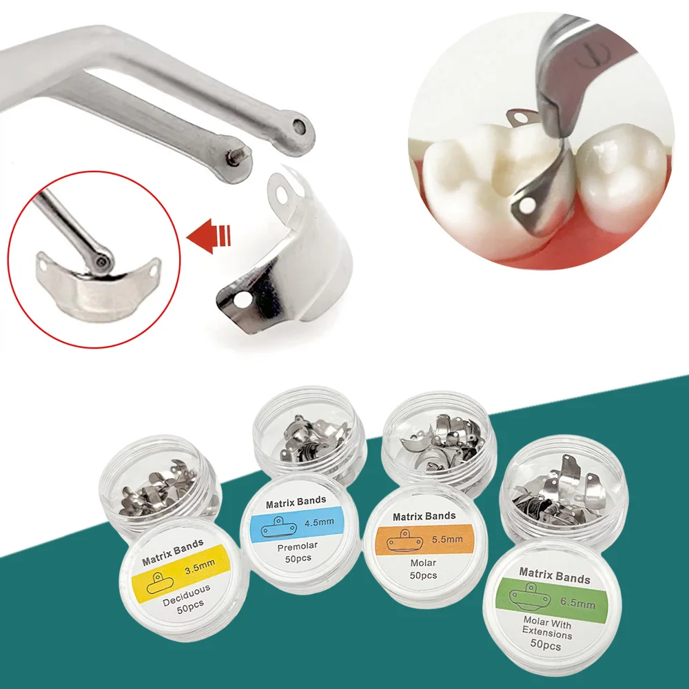 

Dental Sectional Contoured NITI Matrix Bands with Clamp Ring Elasticity for Dentists Tools Orthodontic Restorative Shaping