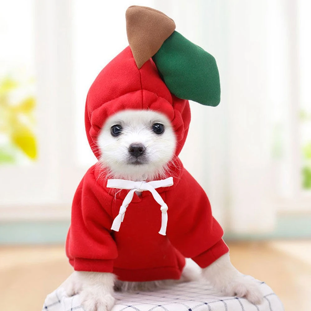 Winter Warm Cotton Dog Clothes Cute Frog Solid Hoodies Fleece Pet Dog Jacket Coat For French Bulldog Chihuahua Dog suit