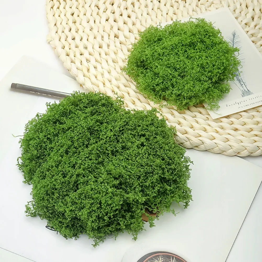 30/50/100g Eternal Life Moss DIY Crafts Grass Artificial Green Plants Home Room Garden Decor Mini Landscape Fake Grass