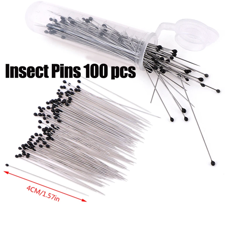 Insect Pins 100Pcs Stainless Steel Specimen Entomology Pins Collections Needle For School Lab Entomology Body Dissection Insect