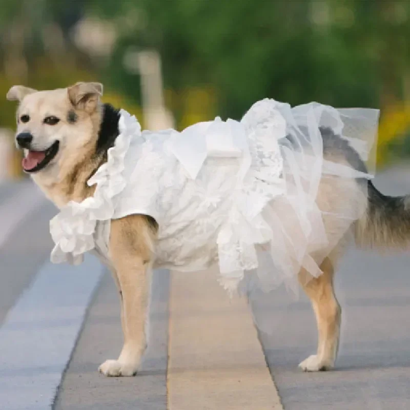 Summer Dog Wedding Dress Poodle Bichon Schnauzer Corgi Shiba Inu Husky Labrador Golden Retriever Clothes Big Large Dog Clothing