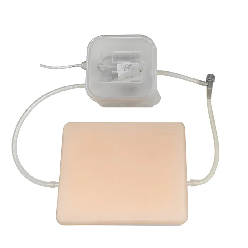 Ultrasound Puncture Phantom Comprehensive Training Model Including Nerves, Blood Vessels, Tumor and Cysts