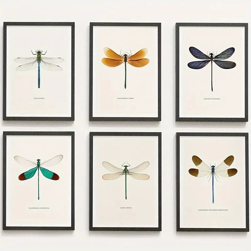 

6pcs/Set Vibrant Dragonfly Specimen Art Poster, Modern Home Decoration Design, Cartoon-themed Children's Room Home Decoration
