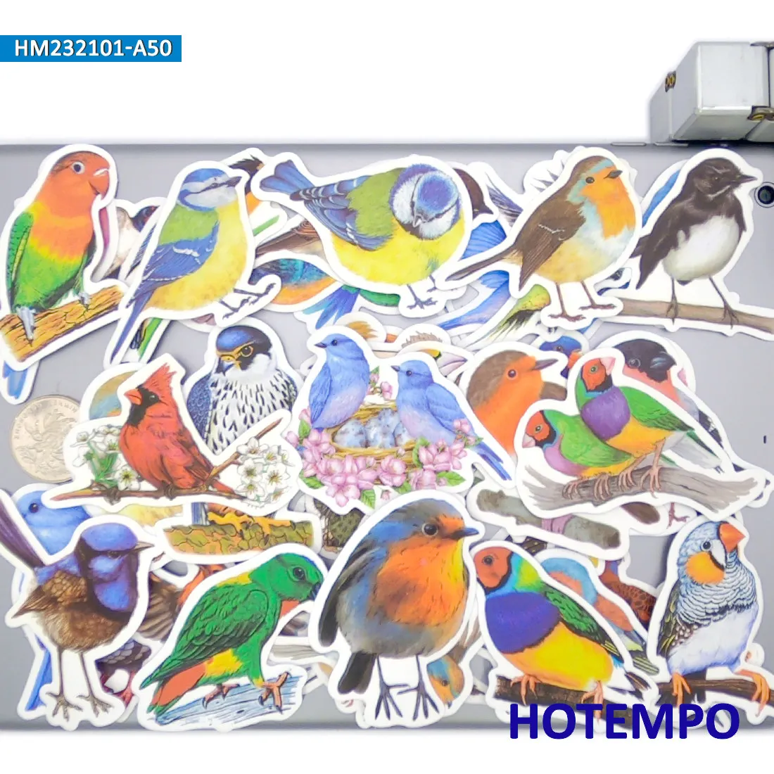 鳥のステッカーセット、水彩スタイル、かわいいカラフルな羽の動物、装飾、ノートパソコン、車、電話、バイク、スクラップブック、荷物に適しています、面白いステッカーパック、20/30/50枚