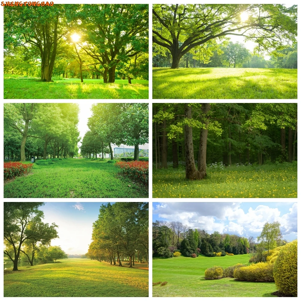

Nature Spring Scenery Backdrop Green Tree Sunshine Sky Grass Field Wedding Birthday Party Photo Photography Background Decor