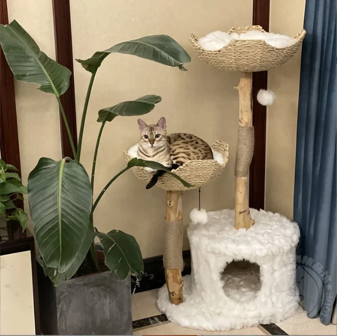 New Arrival Modern Tree Tower for Cats Branch Luxury Cat Condo Cat Scratching Tree