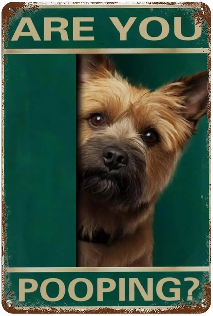 Funny Vintage Tin Sign Cairn Terrier Dog Are You Pooping Sign Bathroom For Home, Living Room, Garden, Bedroom, Office, Hote sign
