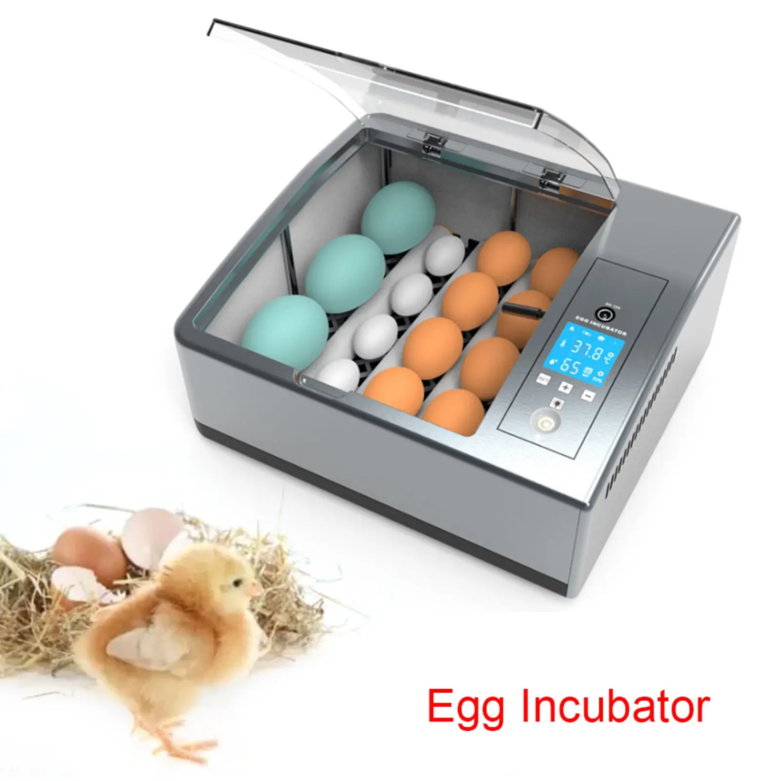 

Household Egg Incubator, 16-Egg Automatic Egg Incubator Machine, Adjustable Temperature, LCD Display, for Home, Small Farms