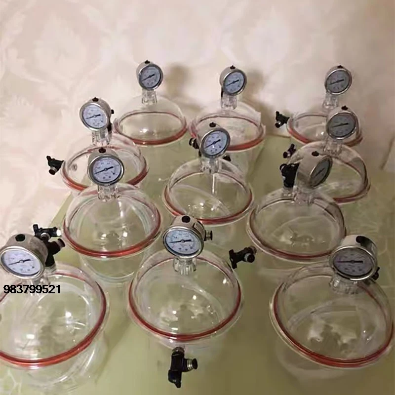 

Good Price PC150-2 150MM Polycarbonate Plastic Vacuum Dryer Laboratory Double Valve Pressure Gauge Drying Kettle for Scie