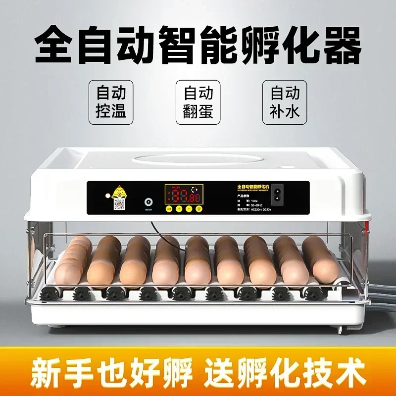 New egg incubator for home. Automatic. Intelligent. Hatching box incubator. Small chick incubator.