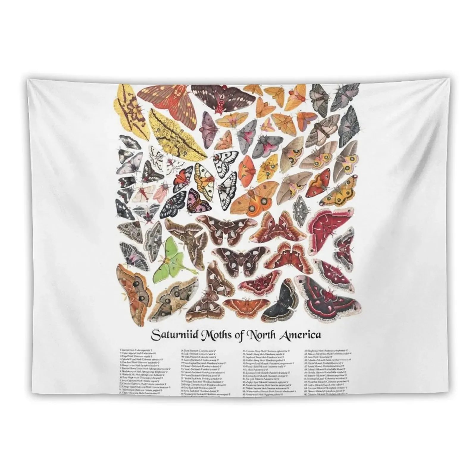 Saturniid Moths of North America Tapestry Aesthetic Decoration Mushroom Wallpaper Room Decore Aesthetic Tapestry