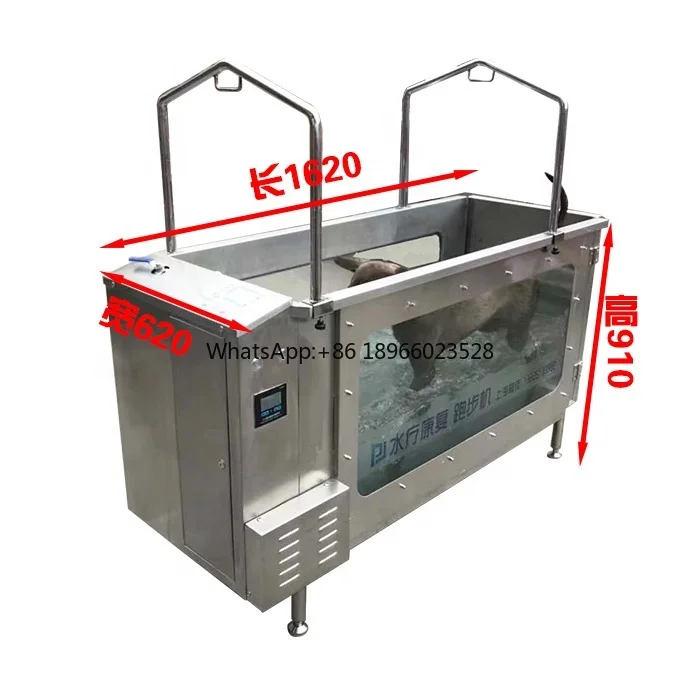 Hot Sale Pet hydrotherapy treatment underwater heating running treadmill for small animals training and recovery