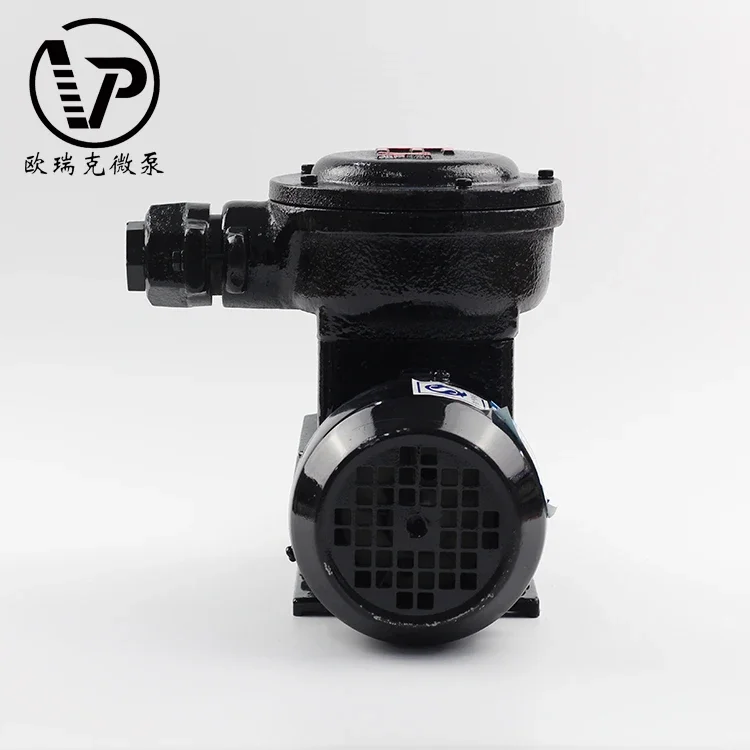 工場価格 AC 380V 高圧ギアポンプ 食品グレード 電磁駆動 ミニギアウォーターポンプ