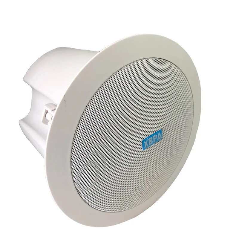 Professionele Public Address Surround Speaker Home Stereo Theater Systeem