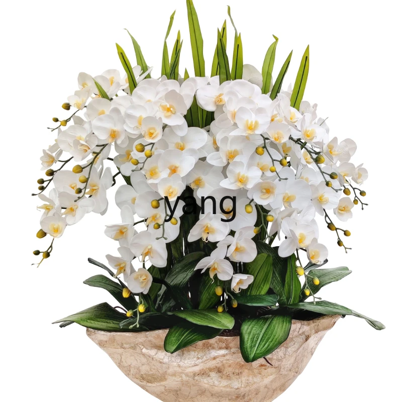 

Yjq Simulation Phalaenopsis Suit Green Plant Bonsai Indoor Living Room Furnishings Artificial Flower