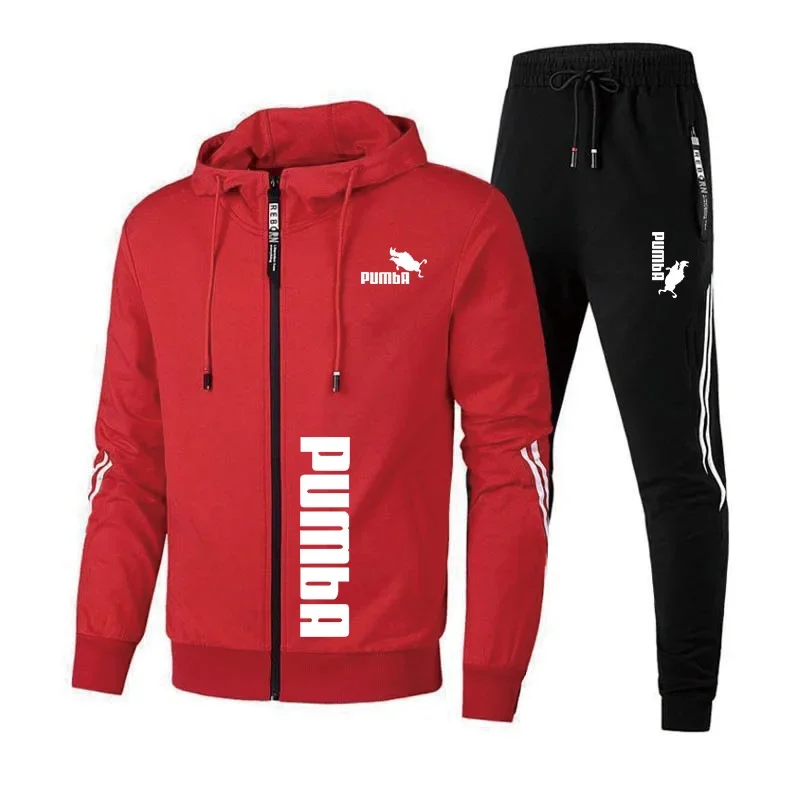 Men's Premium 2-Piece Gym Set, High-Quality Hoodie & Jogging Pants, Athletic Exercise Clothing, Casual Fashion Sportswear Tracks